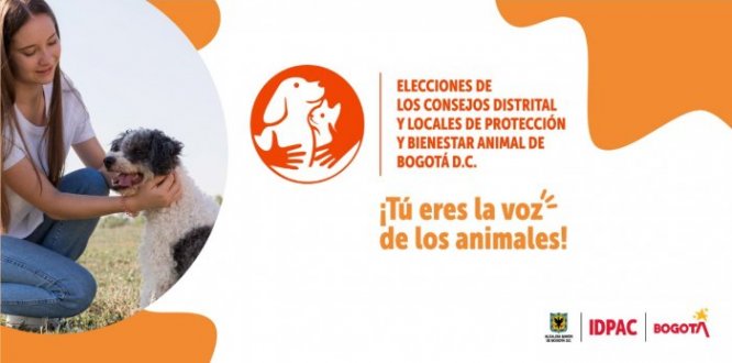 Candidatos al Consejo Local de Protección y Bienestar Animal de Engativá